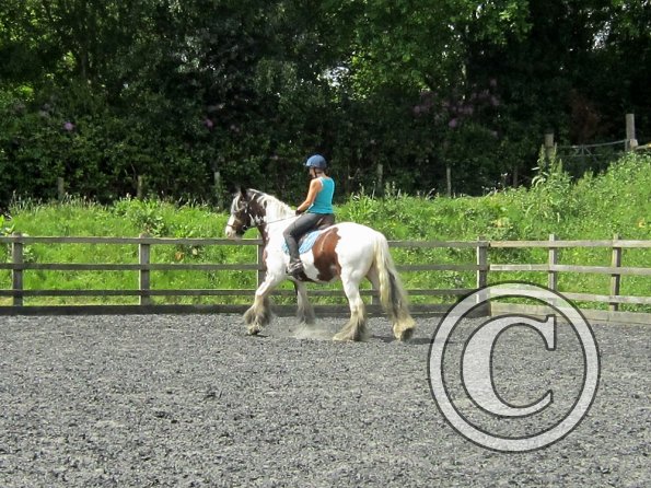 Lucy 1 warming up (13)