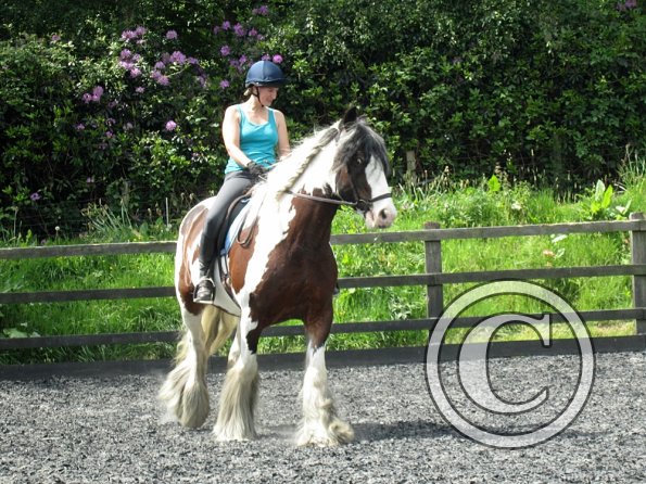 Lucy 1 warming up (14)