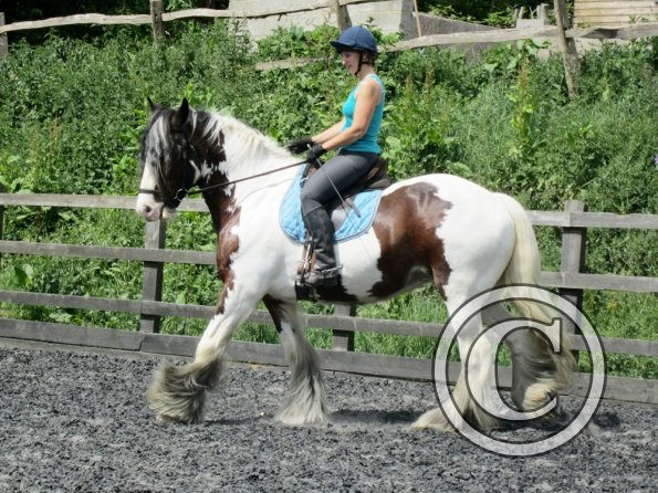 Lucy 1 warming up (17)