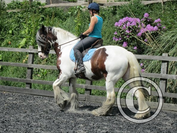 Lucy 1 warming up (18)