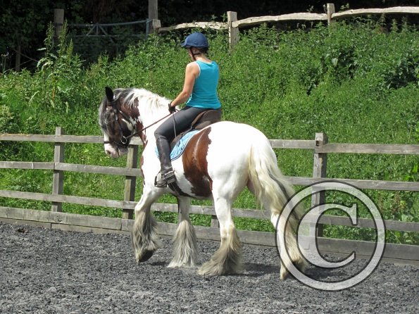 Lucy 1 warming up (19)