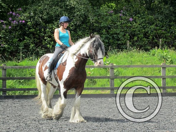 Lucy 1 warming up (21)