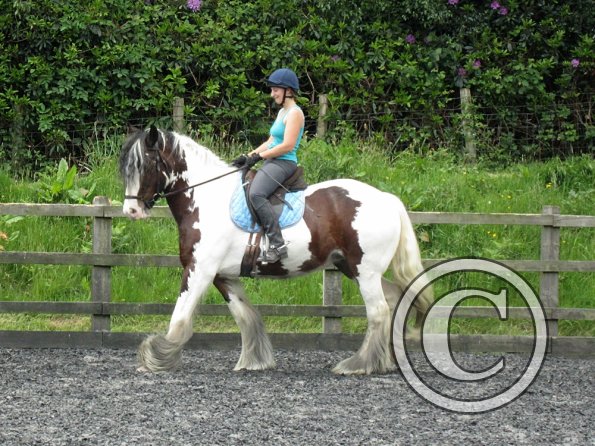 Lucy 1 warming up (24)