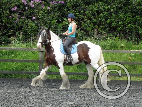 Lucy 1 warming up (25)