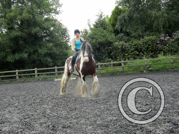 Lucy 1 warming up (3)