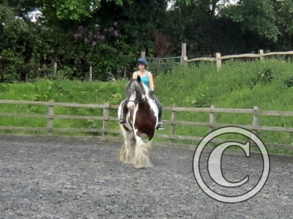 Lucy 1 warming up (4)