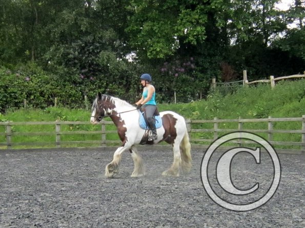 Lucy 1 warming up (5)