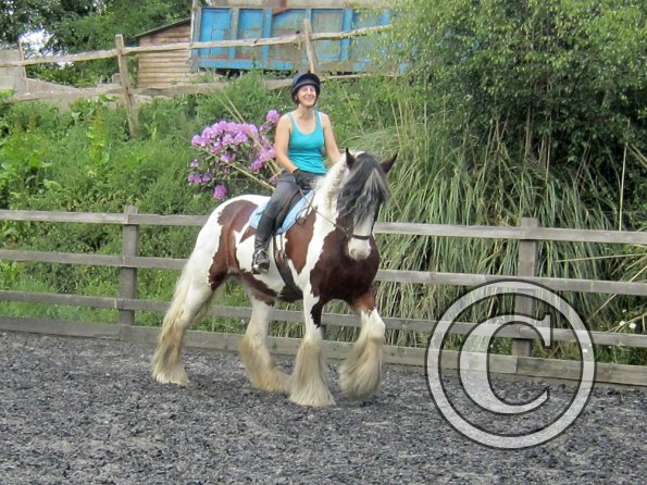 Lucy 1 warming up (6)