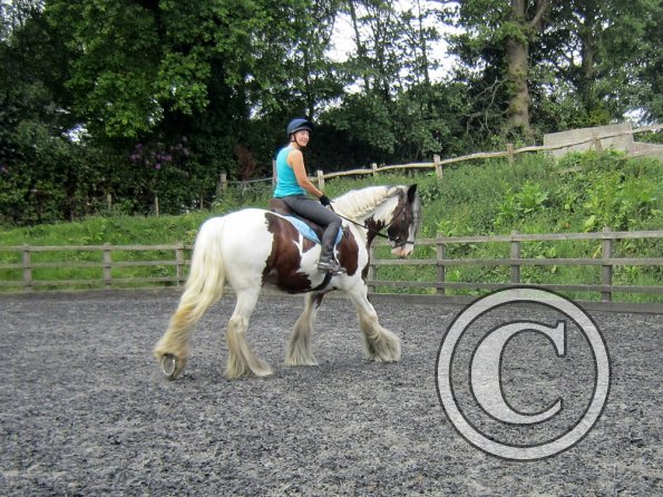 Lucy 1 warming up (7)