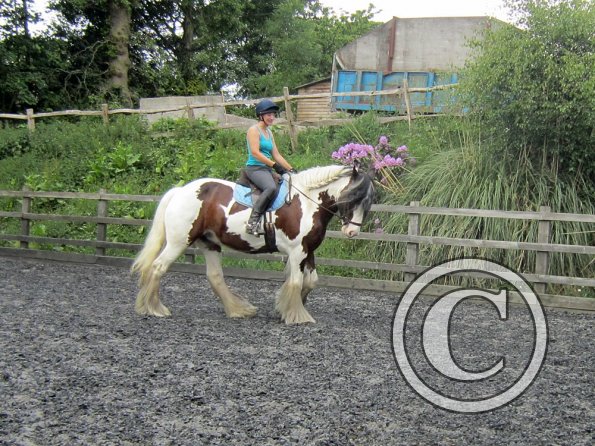 Lucy 1 warming up (8)