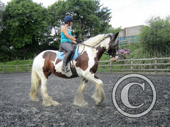 Lucy 1 warming up (9)