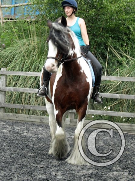 Lucy 2 waorking in (11)