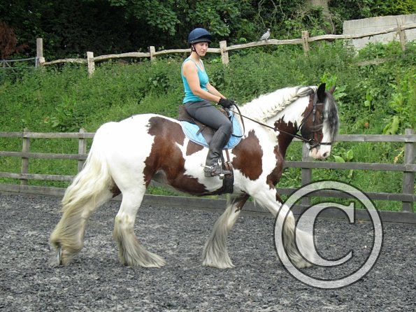 Lucy 2 waorking in (12)