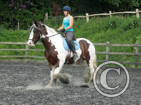 Lucy 2 waorking in (14)