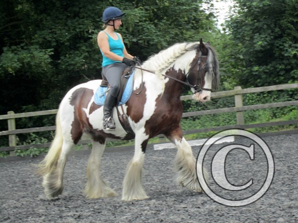 Lucy 2 waorking in (2)