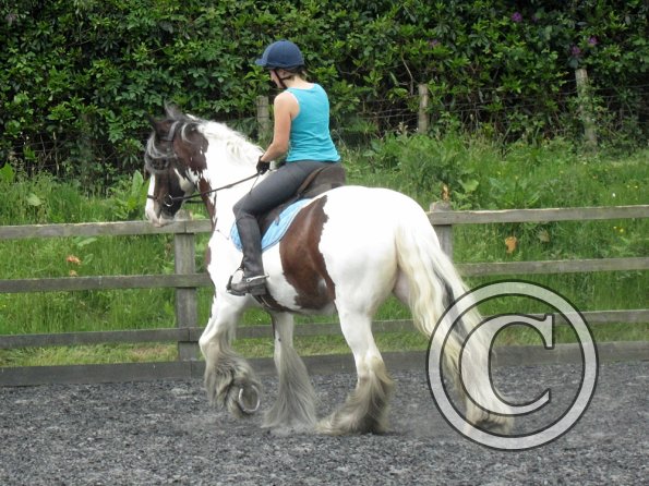 Lucy 2 waorking in (3)