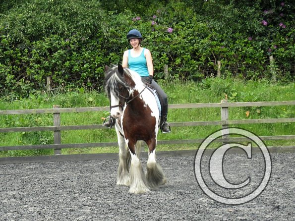 Lucy 2 waorking in (4)