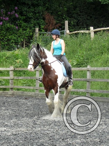 Lucy 2 waorking in (7)