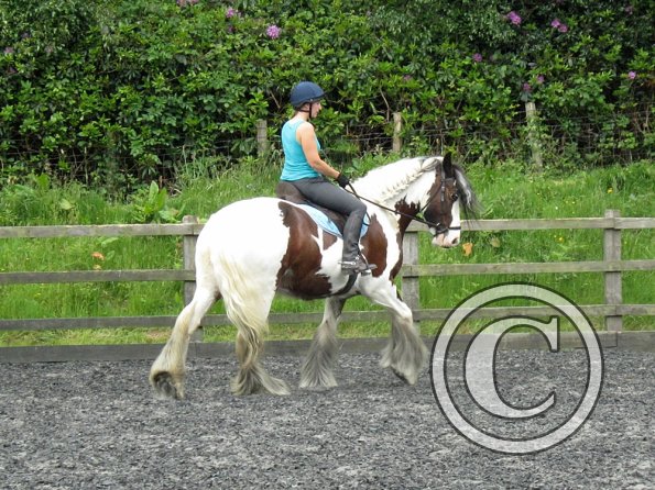 Lucy 2 waorking in (9)