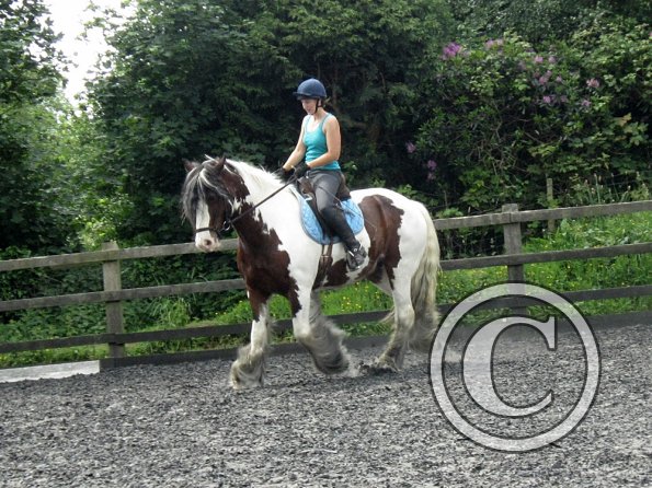 Lucy 3 really hard work (14)