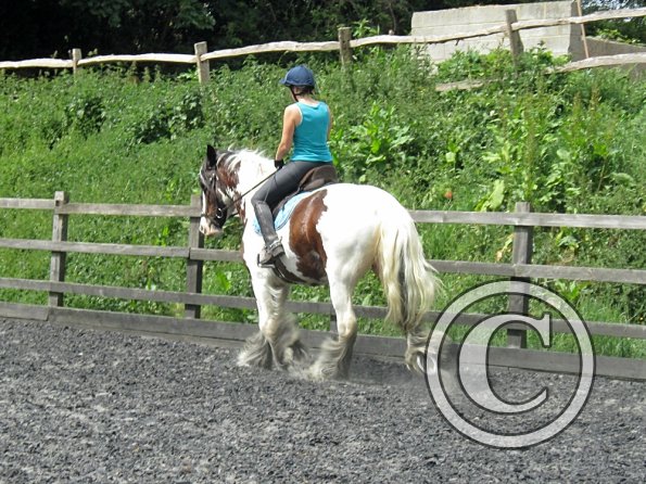 Lucy 3 really hard work (15)