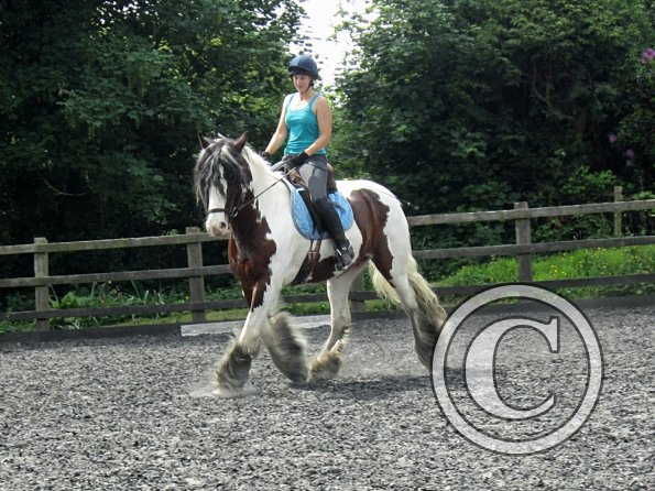 Lucy 3 really hard work (16)