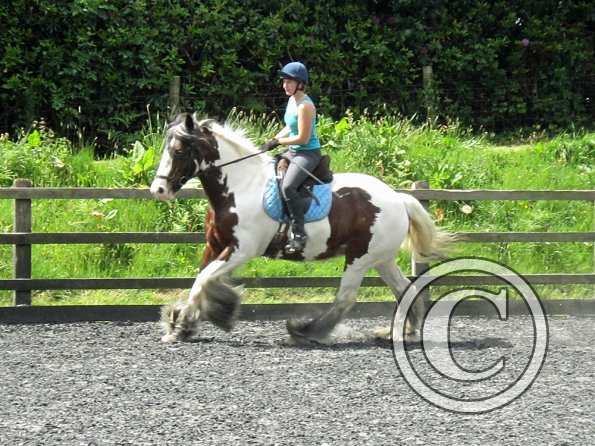 Lucy 3 really hard work (17)