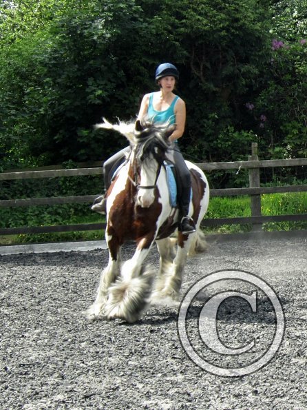 Lucy 3 really hard work (18)