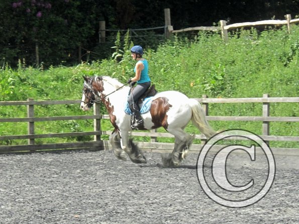 Lucy 3 really hard work (19)