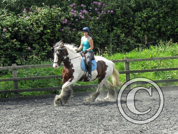 Lucy 3 really hard work (20)