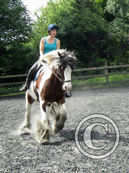 Lucy 3 really hard work (21)