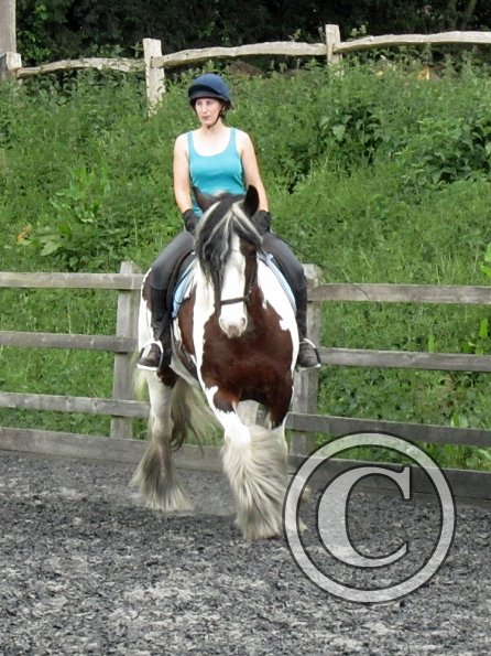 Lucy 3 really hard work (4)