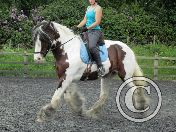 Lucy 3 really hard work (5)