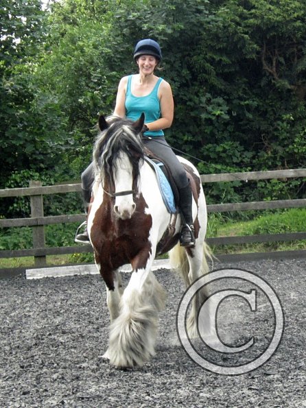 Lucy 3 really hard work