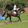 Flatwork (10)