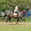 Flatwork (11)