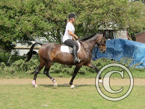 Flatwork (11)