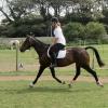 Flatwork (12)