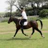 Flatwork (13)