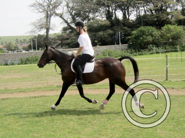 Flatwork (13)