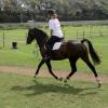 Flatwork (14)