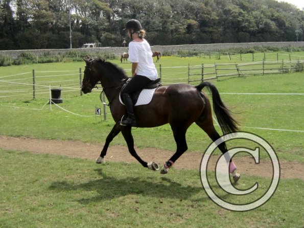 Flatwork (14)