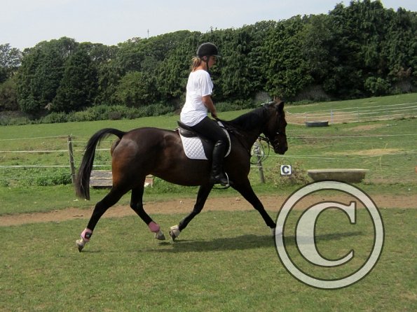Flatwork (15)