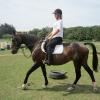Flatwork (2)