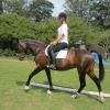 Flatwork (3)