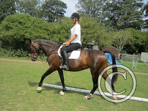 Flatwork (3)