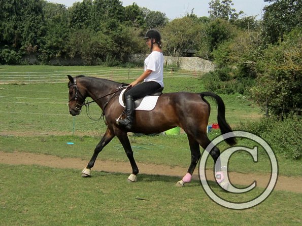Flatwork (4)