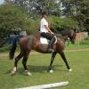 Flatwork (5)