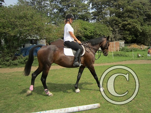 Flatwork (5)