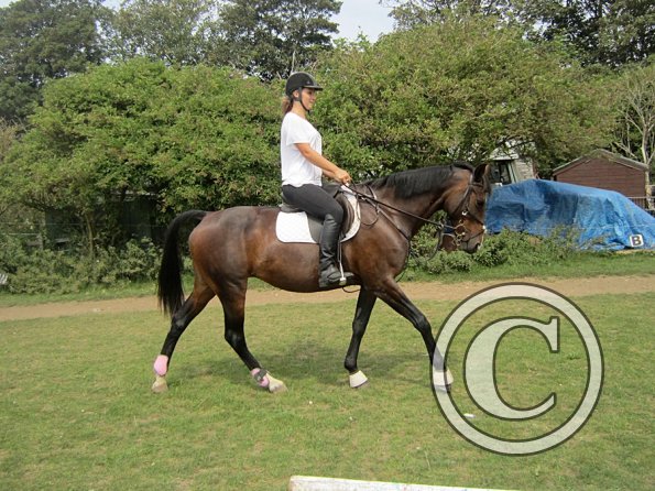 Flatwork (6)
